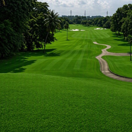 Hole 12
